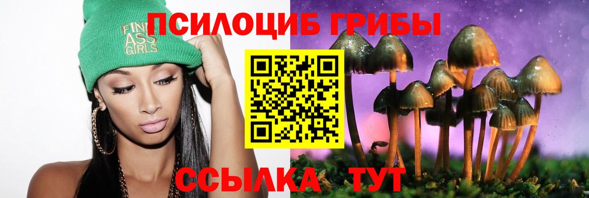 Галлюциногенные грибы Psilocybe  Псилоцибиновые грибы MAGIC MUSHROOMS  Барабинск  Вход с VPN 